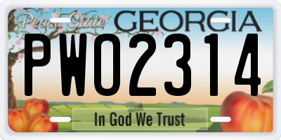 GA license plate PWO2314
