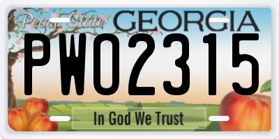 GA license plate PWO2315