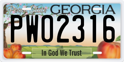 GA license plate PWO2316