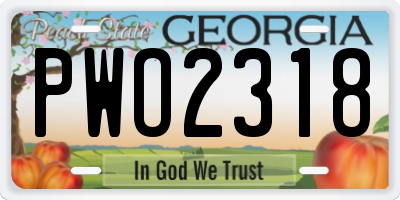 GA license plate PWO2318