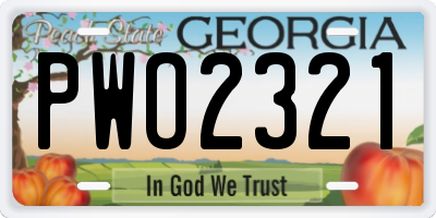 GA license plate PWO2321