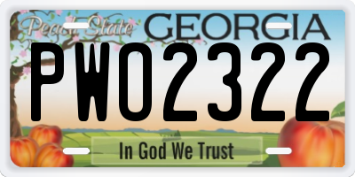 GA license plate PWO2322