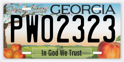 GA license plate PWO2323