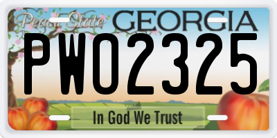GA license plate PWO2325
