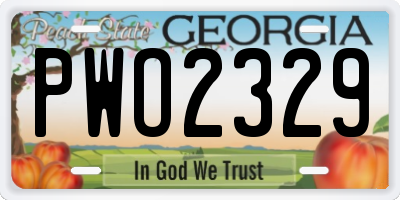 GA license plate PWO2329