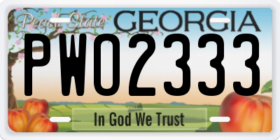 GA license plate PWO2333
