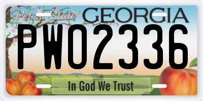 GA license plate PWO2336