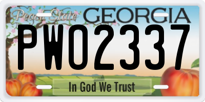 GA license plate PWO2337
