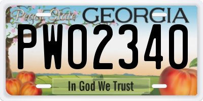 GA license plate PWO2340