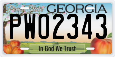 GA license plate PWO2343