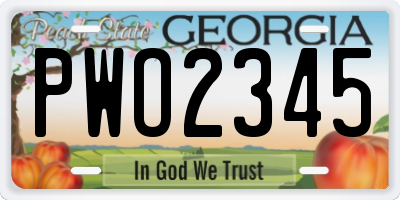 GA license plate PWO2345