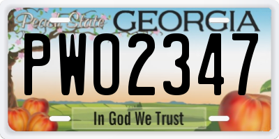 GA license plate PWO2347