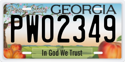 GA license plate PWO2349