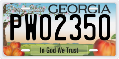 GA license plate PWO2350