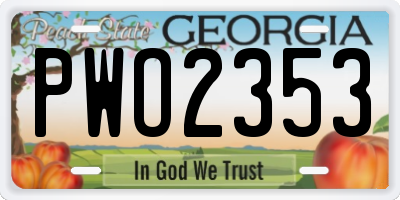 GA license plate PWO2353