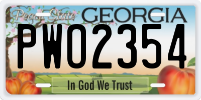 GA license plate PWO2354