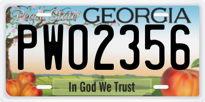 GA license plate PWO2356