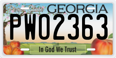 GA license plate PWO2363