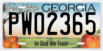 GA license plate PWO2365