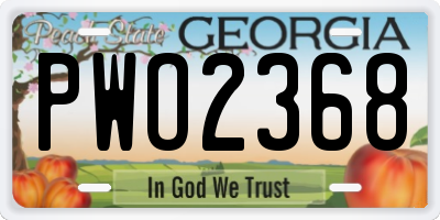 GA license plate PWO2368