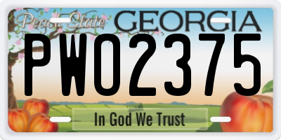 GA license plate PWO2375