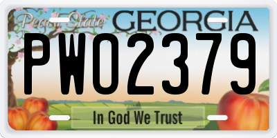 GA license plate PWO2379