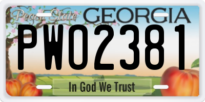 GA license plate PWO2381