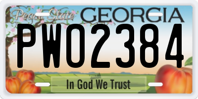 GA license plate PWO2384