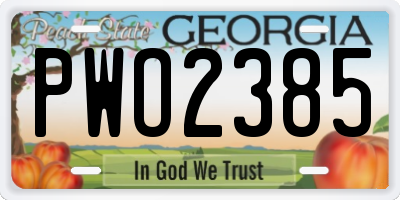 GA license plate PWO2385