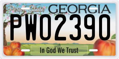 GA license plate PWO2390