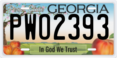 GA license plate PWO2393