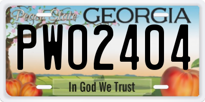 GA license plate PWO2404