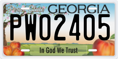 GA license plate PWO2405