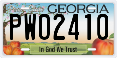 GA license plate PWO2410