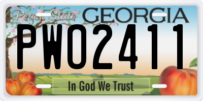 GA license plate PWO2411