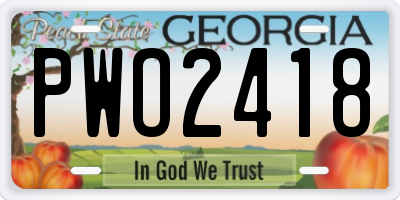 GA license plate PWO2418