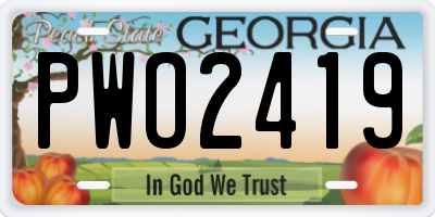 GA license plate PWO2419