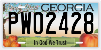 GA license plate PWO2428