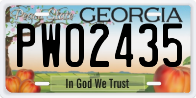 GA license plate PWO2435