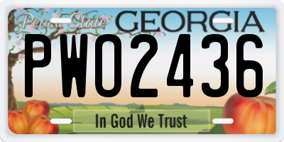 GA license plate PWO2436