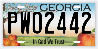 GA license plate PWO2442
