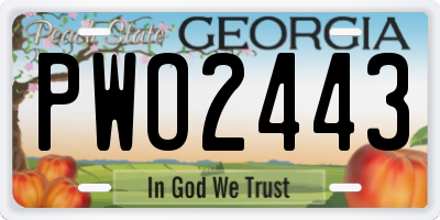 GA license plate PWO2443