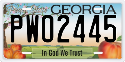 GA license plate PWO2445