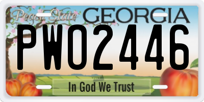 GA license plate PWO2446