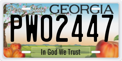 GA license plate PWO2447