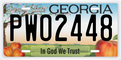 GA license plate PWO2448