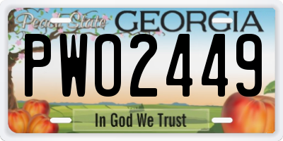 GA license plate PWO2449