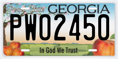 GA license plate PWO2450