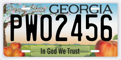 GA license plate PWO2456