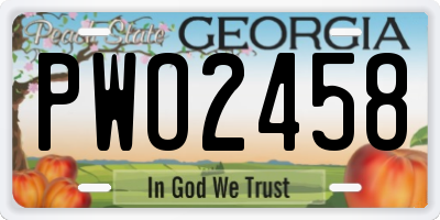 GA license plate PWO2458